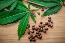 Hvornår bliver det lovligt at købe cannabis på danske apoteker?